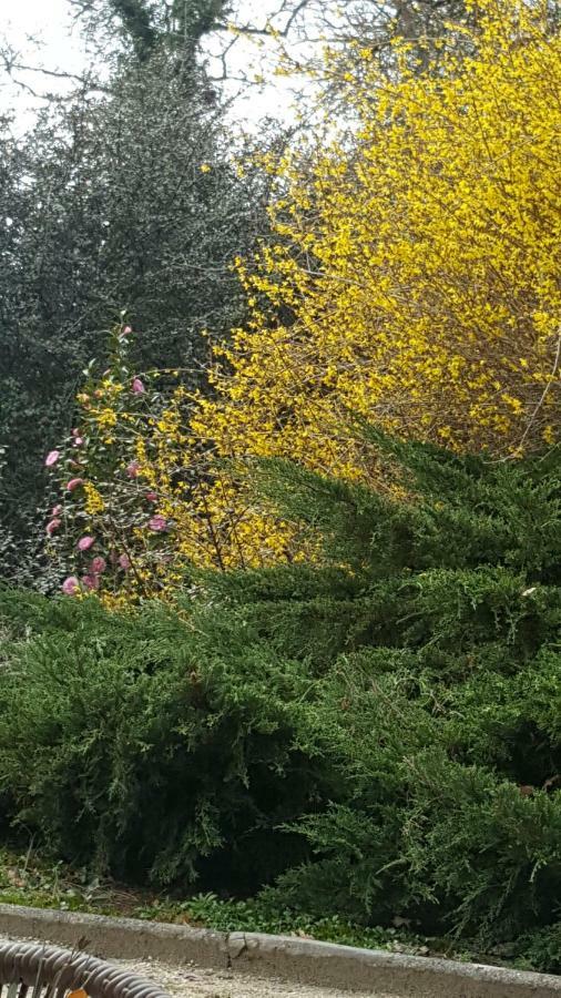 La Belle Chaumiere Panzió Bretagne-de-Marsan Kültér fotó
