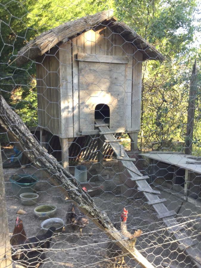 La Belle Chaumiere Panzió Bretagne-de-Marsan Kültér fotó