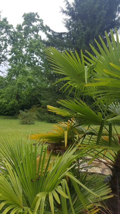 La Belle Chaumiere Panzió Bretagne-de-Marsan Kültér fotó